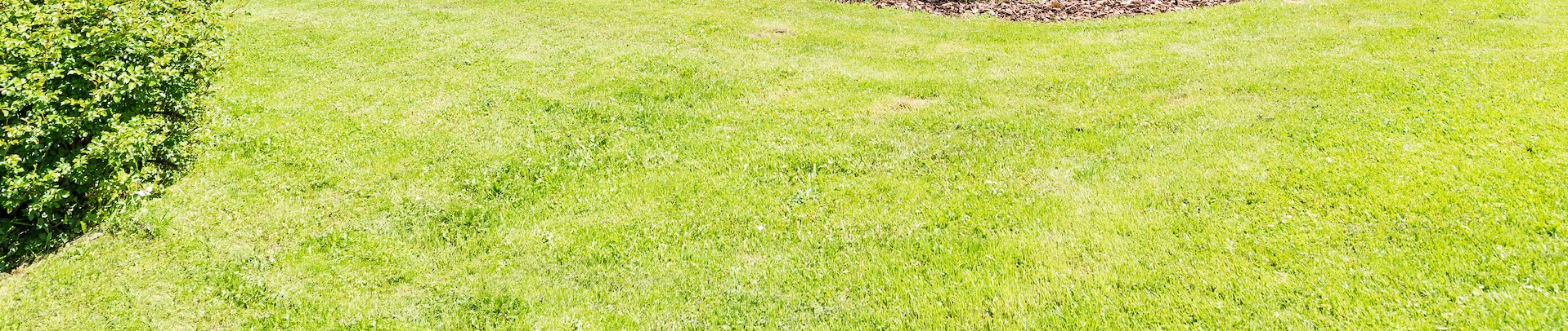 header.70.67f036a084561